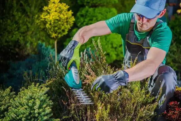 landscaping services Hauppauge